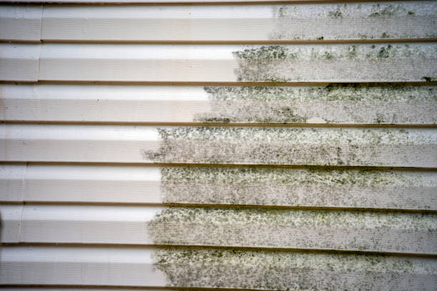 Best Dumpster Rental Services  in Woburn, MA