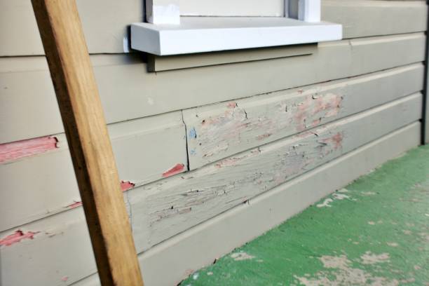 Best Dumpster Rental Services  in Woburn, MA